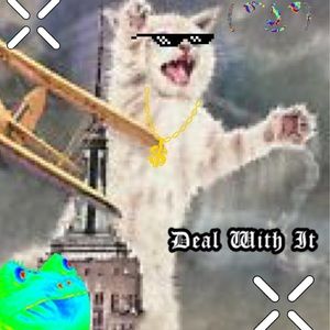 Meet your Posher, Blake